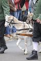 altenburg-trachtenfest-03-06-2012 (316)